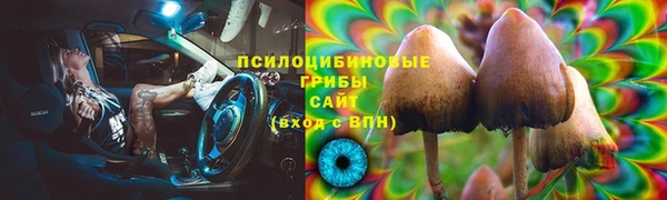 гидропоника Вязьма